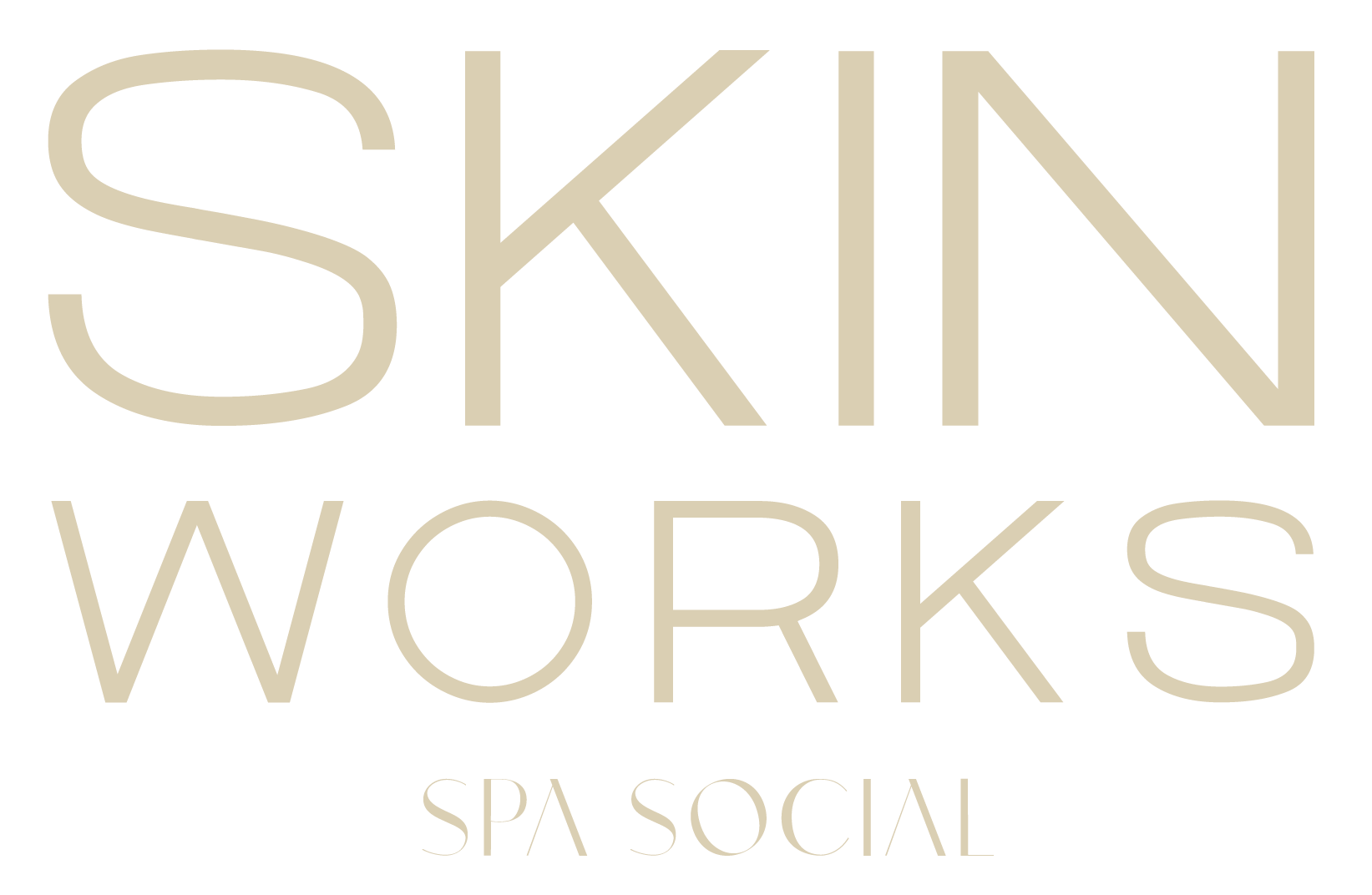 Skin works logo-01S